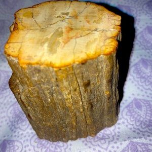 Petrified Wood (Metapsysical Crystal)